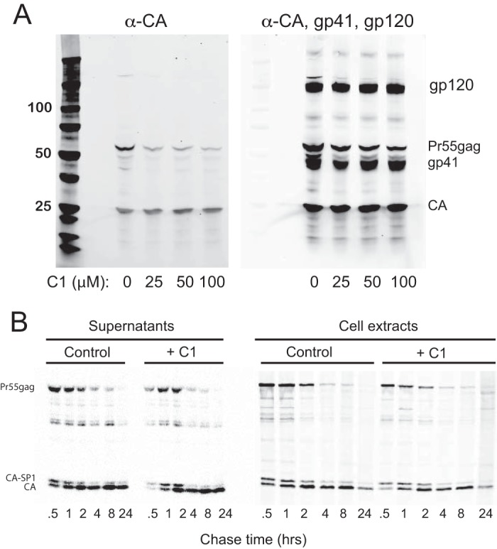 FIG 4