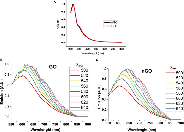 FIGURE 2