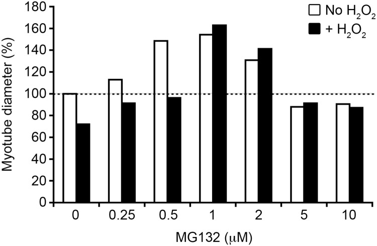 Fig 10