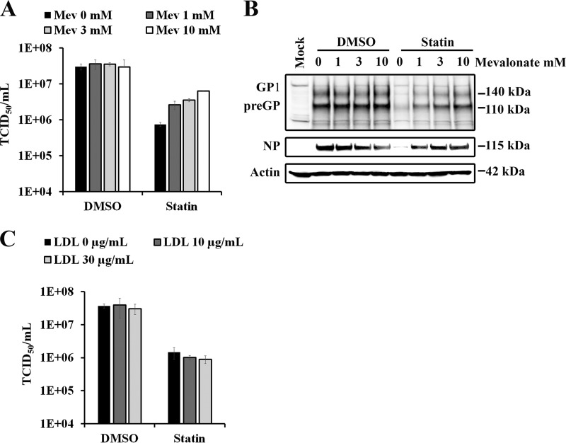 FIG 2 