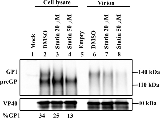 FIG 5 