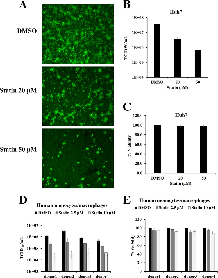 FIG 1 