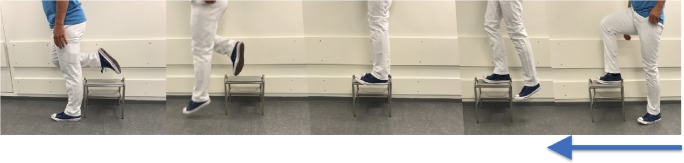 Fig. 1