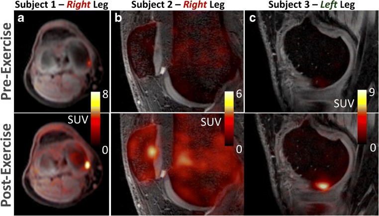 Fig. 9