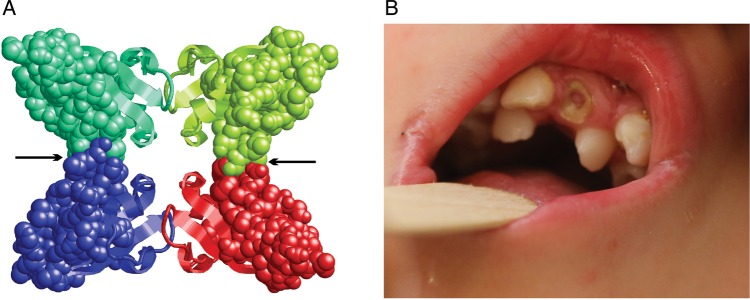 Figure 3