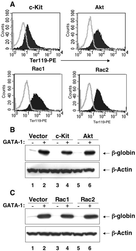 FIG. 10.