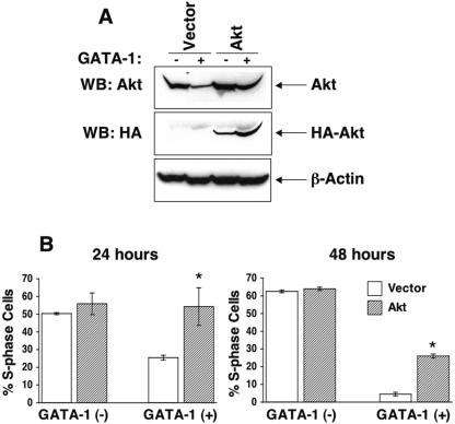 FIG. 8.