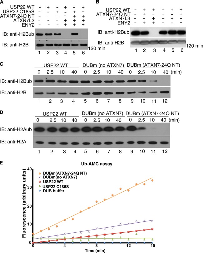 FIG 2