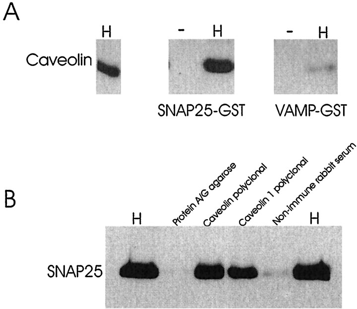 Fig. 9.