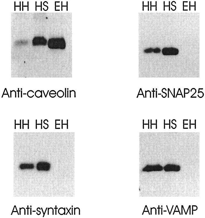 Fig. 10.