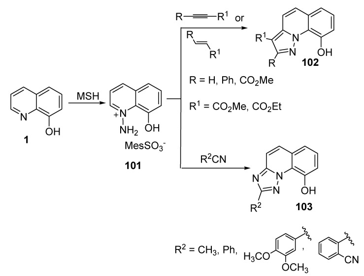 Scheme 24