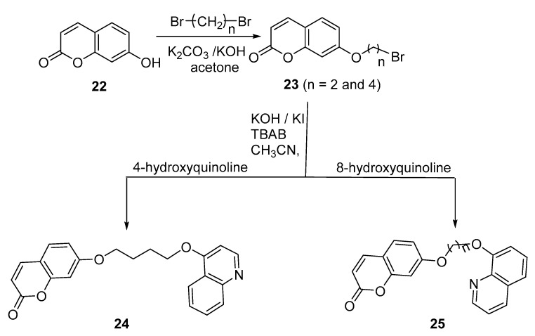 Scheme 8