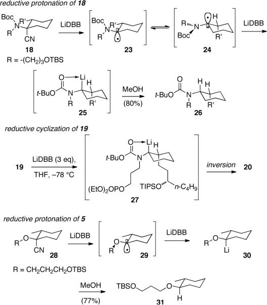 Scheme 3