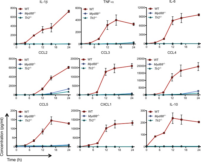 FIGURE 4.