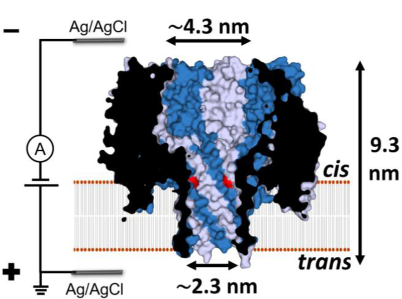 Figure 1.