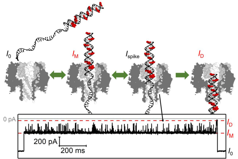 Figure 9.