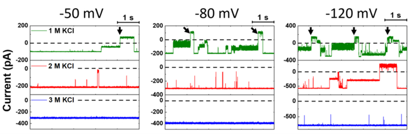 Figure 3.