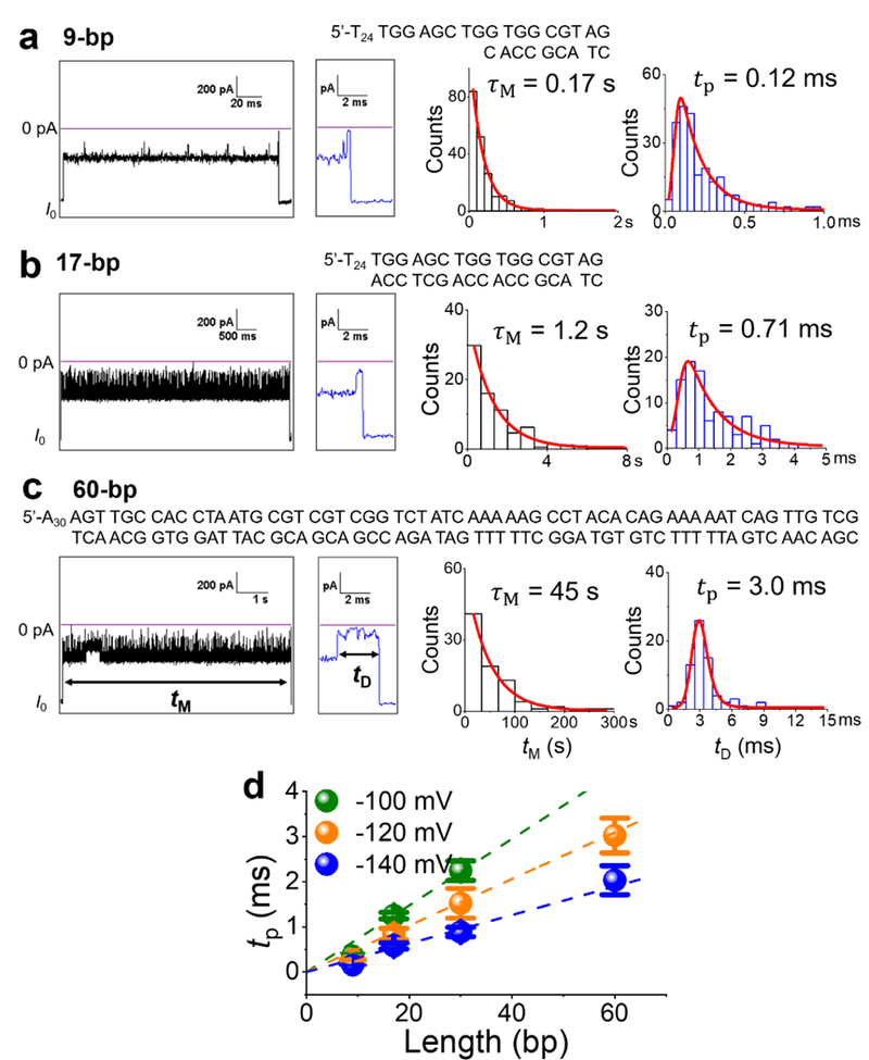 Figure 11.