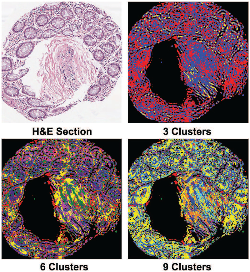 Fig. 8: