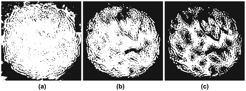 Fig. 3: