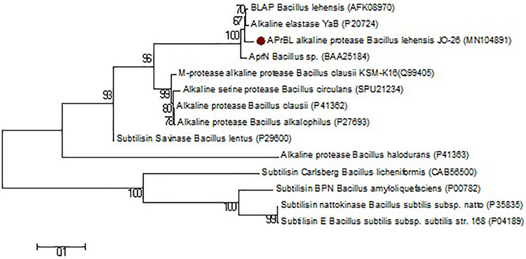 FIGURE 1