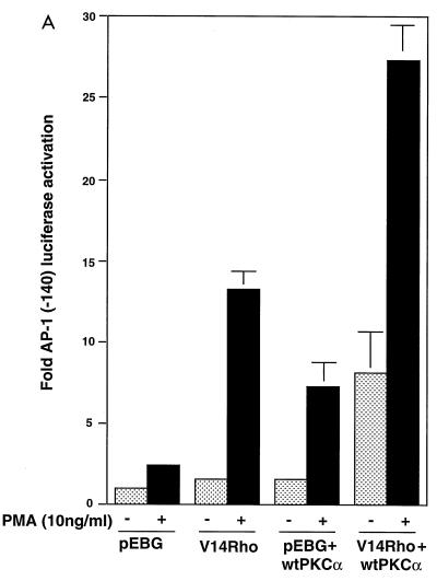 FIG. 5