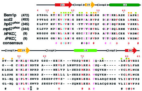 graphic file with name cde385f3.jpg