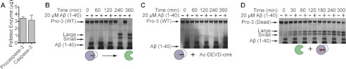 FIGURE 12.