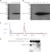 FIGURE 11.