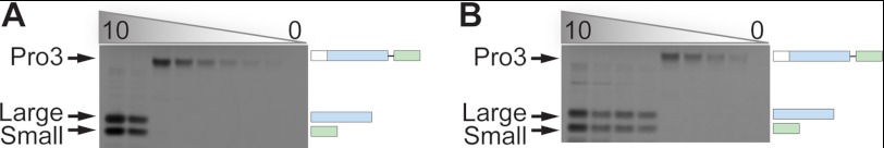 FIGURE 9.