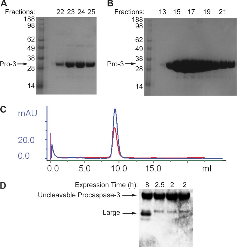 FIGURE 11.