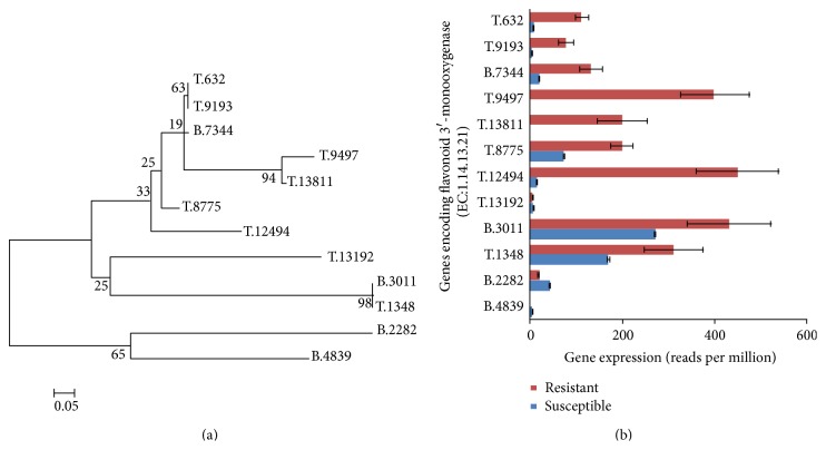 Figure 7