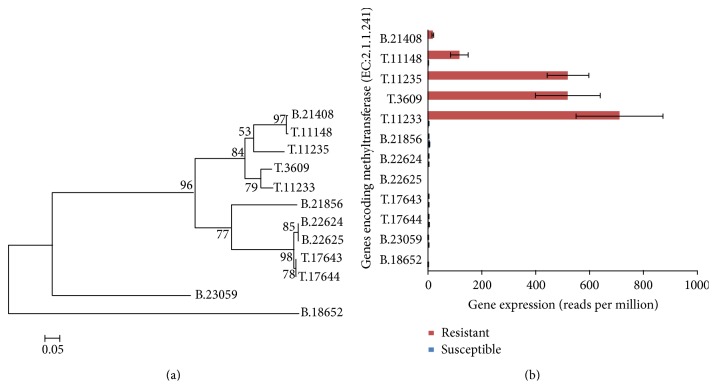 Figure 6