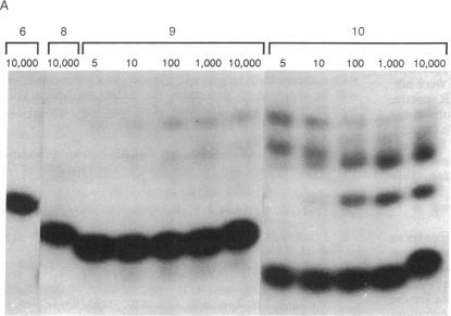 graphic file with name pnas01030-0051-a.jpg