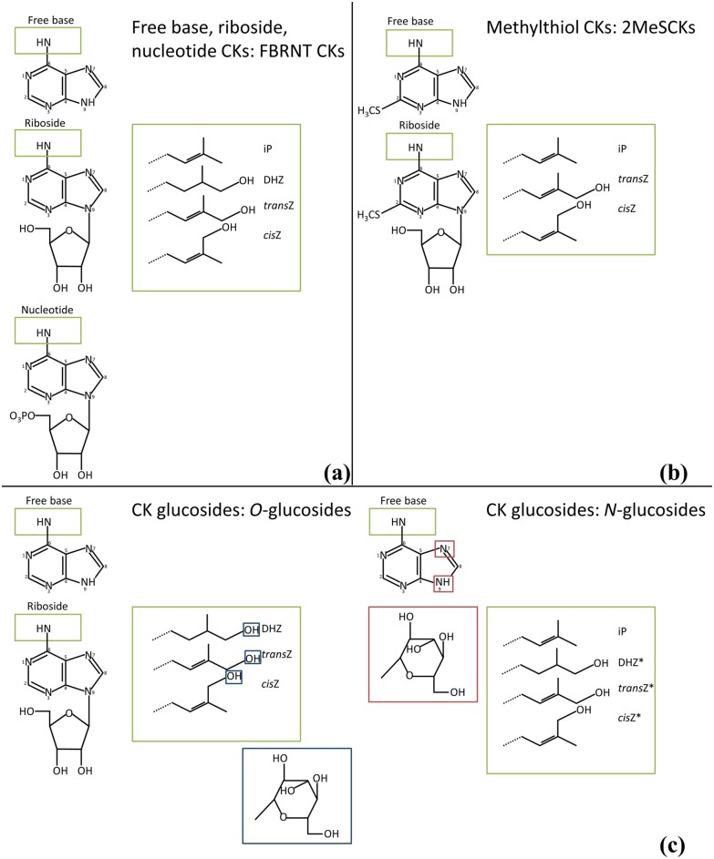 Fig 3