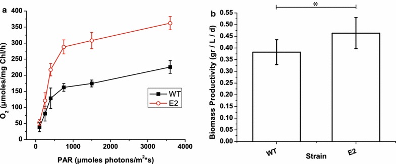 Fig. 7