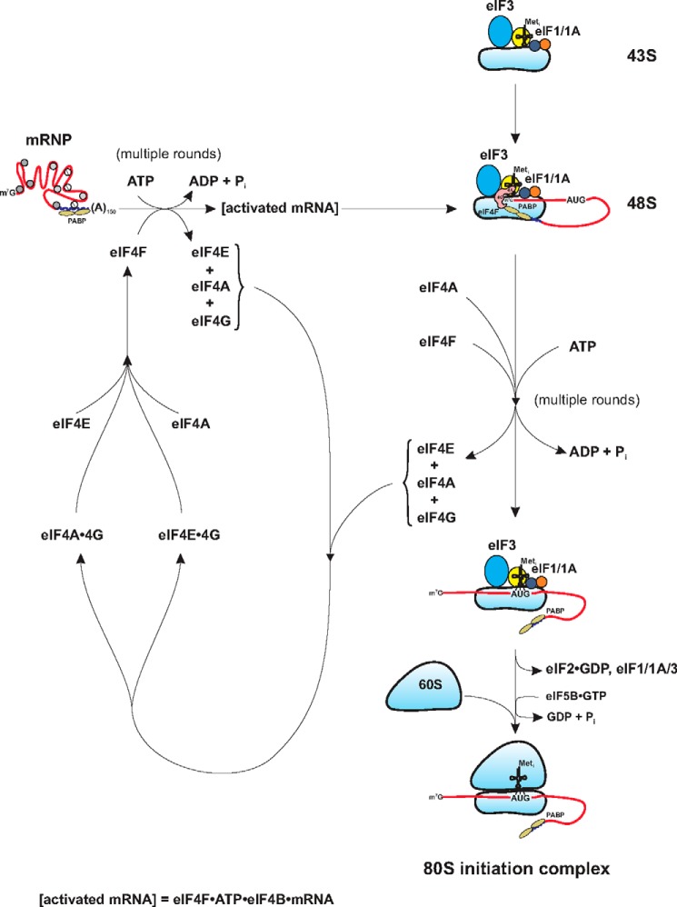 FIGURE 1.