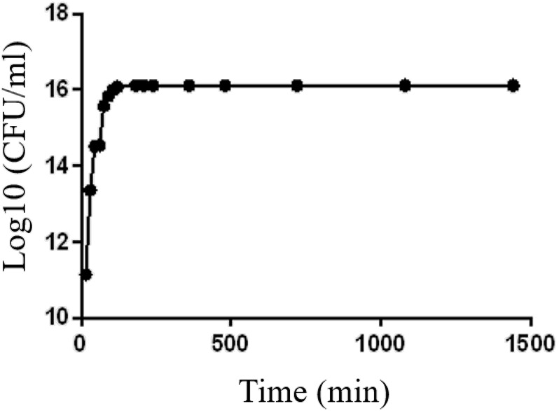 FIGURE 2