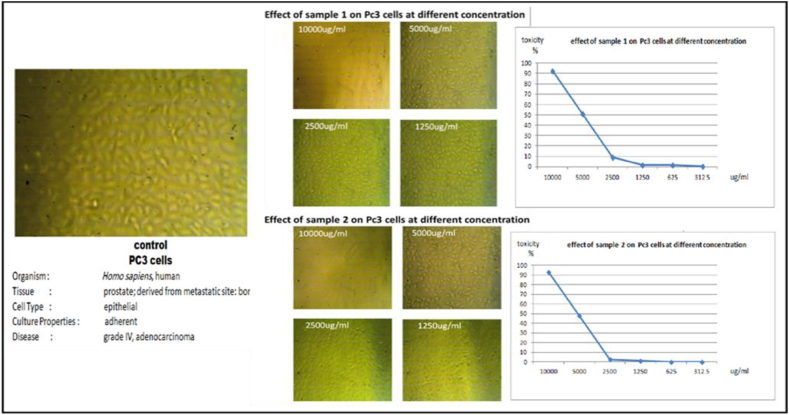 Figure 6