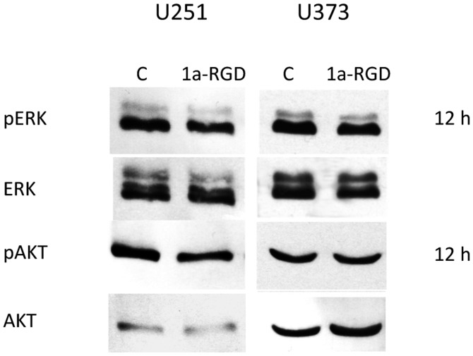 Figure 10.