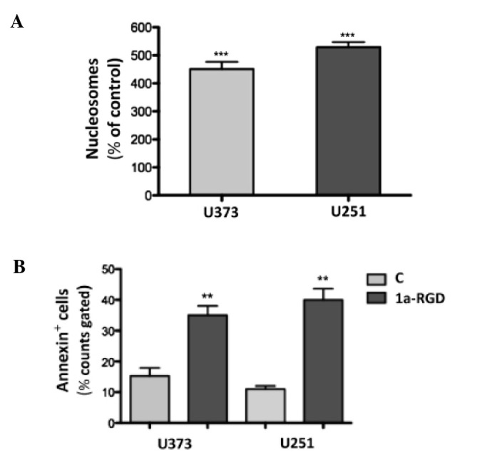 Figure 11.