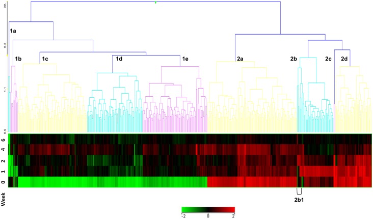 Fig 1