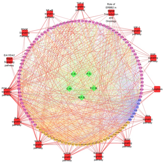 Figure 4.