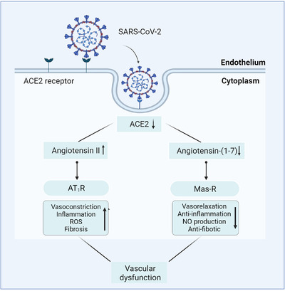 FIGURE 2