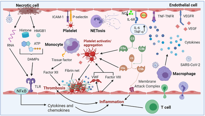 FIGURE 3