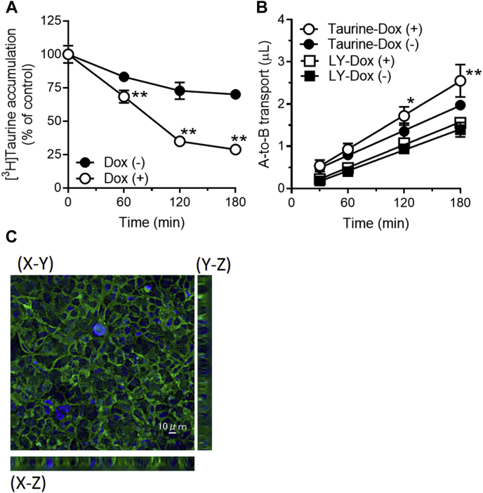 Figure 4