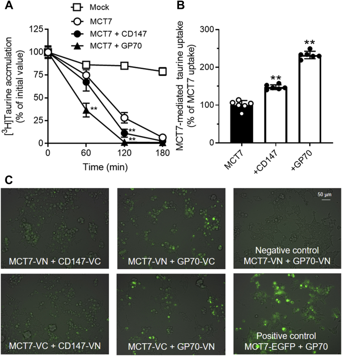 Figure 3