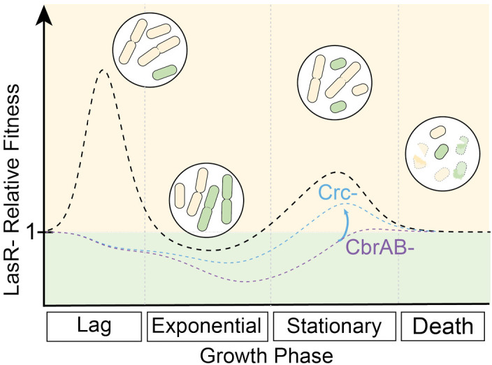 Figure 5.
