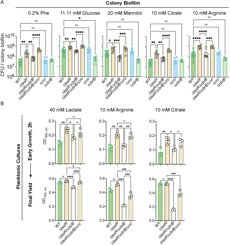 Figure 3—figure supplement 1.