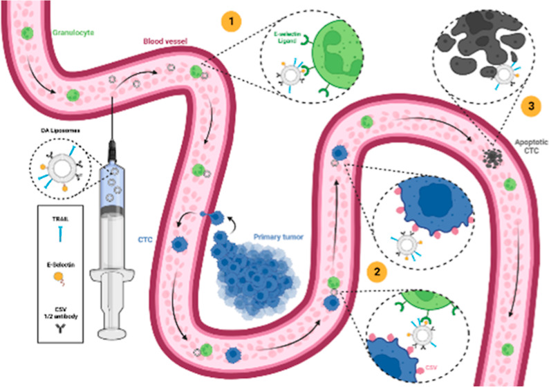 graphic file with name ao3c05605_0009.jpg